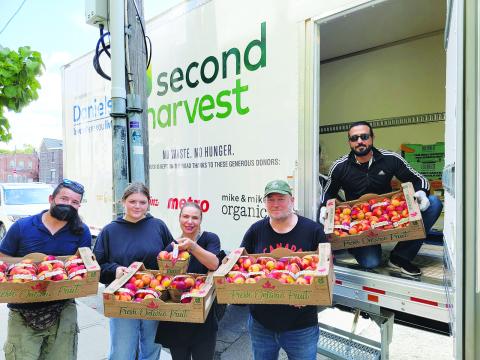 second harvest