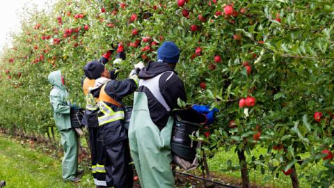 Ontario Fruit and Vegetable Growers’ Association