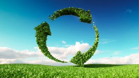 sustainability