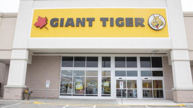 mini brands giant tiger