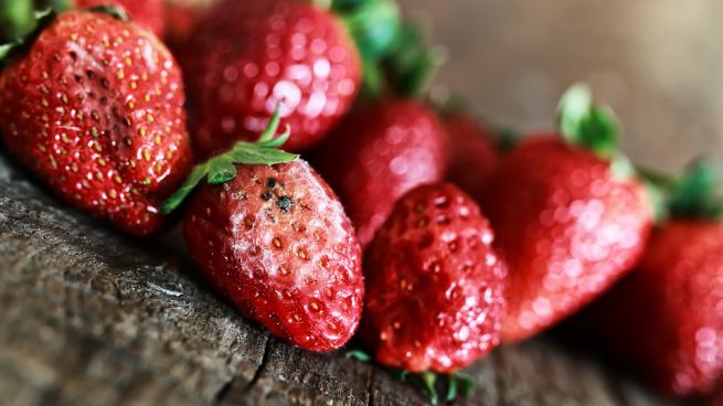 rotten strawberries concept gmo