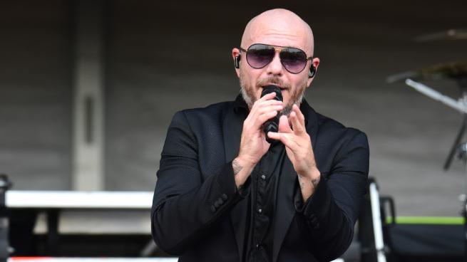 pitbull