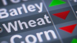 agriculture commodity prices